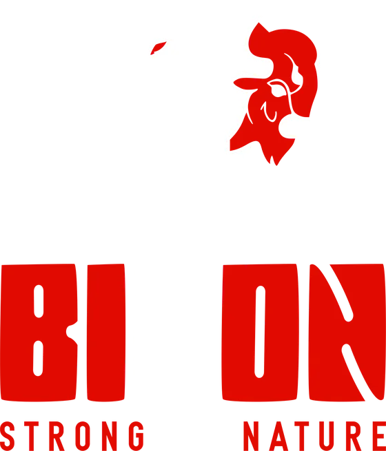 BISON